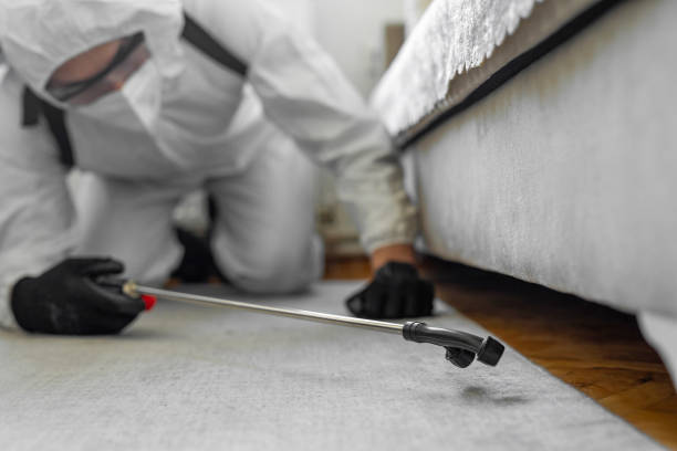 Professional Bed Bug Control technician working in Bulloch County County, GA